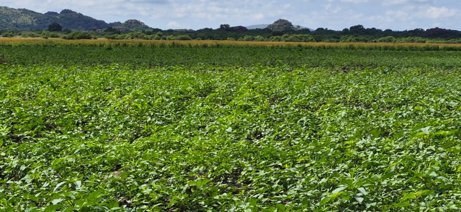 0 Bedroom Property for Sale in Brits Rural North West